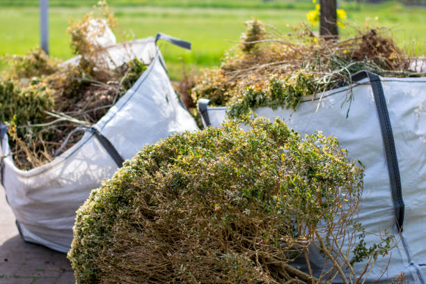 Best Dumpster Rental Services  in Paia, HI